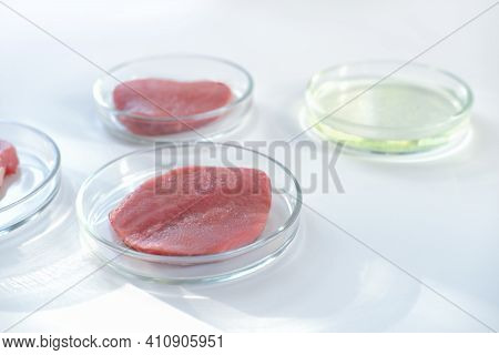 Lab Gown Meat In A Petri Dish. Meat In Glass Cell Culture Dish. In Vitro Cultured Flesh. Animal Soma