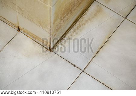 Stains Are Ingrained Along The Joints Of The Tiles In The Bathroom.