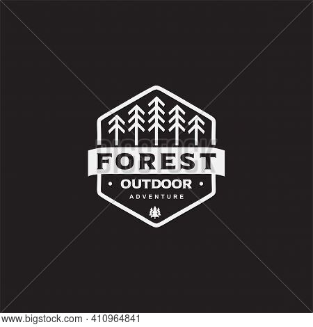 Simple Flat Pine Forest Logo Designs Concept Vector. Line Pine Tree Logo Template. Vintage Camping A