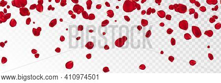 Background With Red Rose Petals. Eps 10 Vector. Falling Red Flower Petals Against Pink Background. H