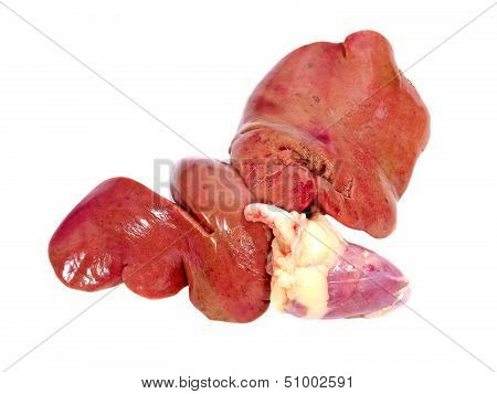 Raw Poultry Offal.isolated.
