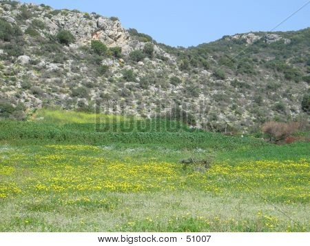 Primavera 2