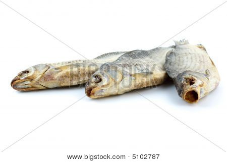 Drie zee Roach vissen