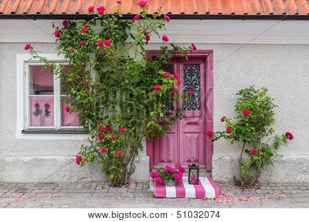 Roses Decorating The House Entrance