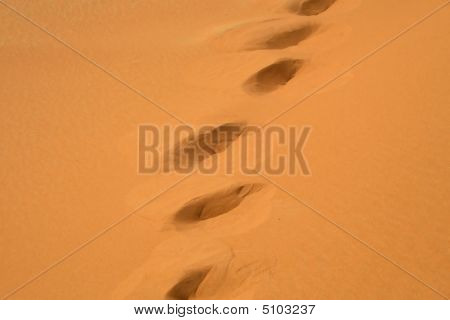 Footsteps On The Sand