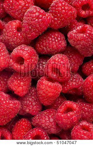 Ripe Rasberry Fruit Horizontal Close Up Background.