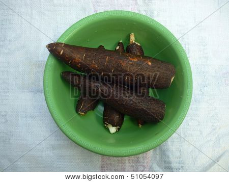 cassava