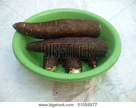 cassava