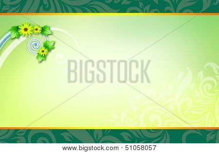 green background with border on the top and bottom