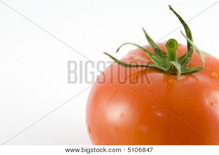 Verse tomaat Close-up