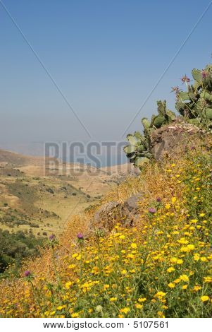Golan Heights i Israel