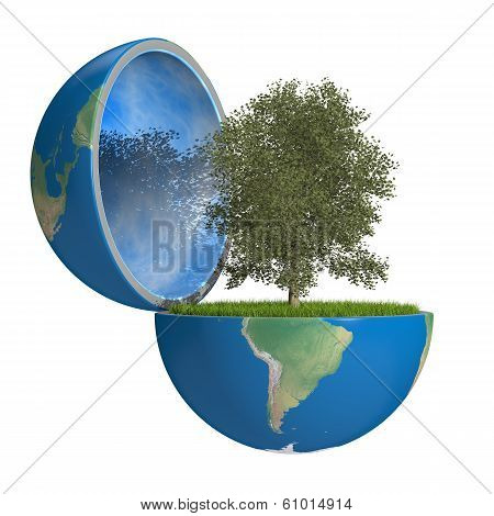 Tree Inside Planet