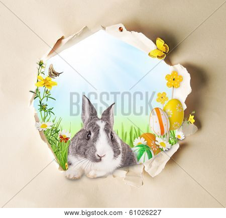 Conceptual spring theme with gappy paper and spring meadow with rabbit, butterflies and blooming chamomiles
