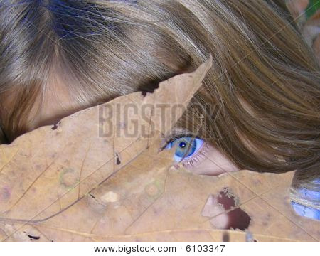 Blue Eyed Girl