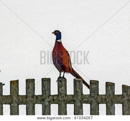Oil Painting Stylized Photo Of Pheasant Standing On Stone Fence