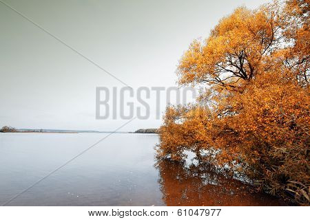 Island Melancholic Autumn