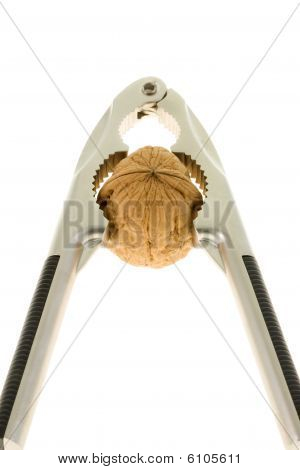 Nutcracker And Walnut.