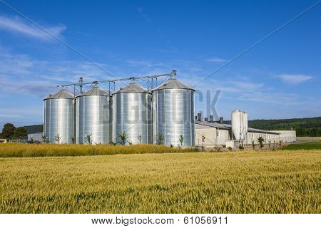 four silver silos in rural landscape in morning light