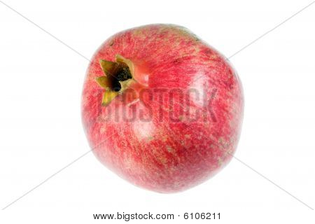 Pomegranate On White.