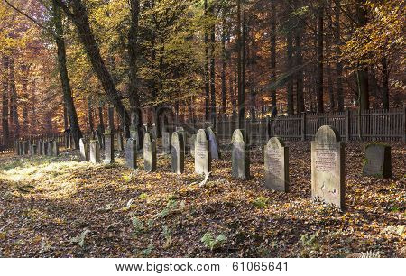 KOENIGSTEIN, GERMANY - MAY 3, 2012: old jewish cemetery in the oak forest