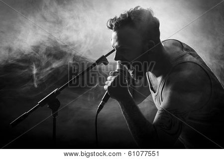 Vocalist in Hardrock Concert