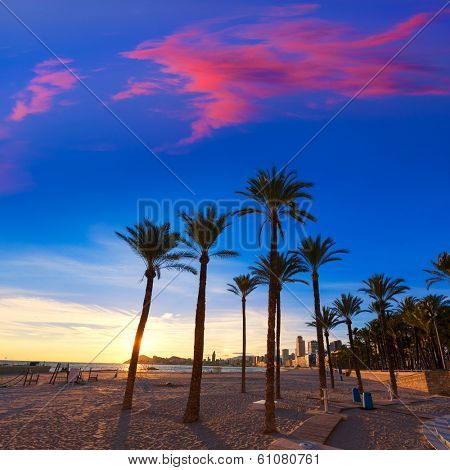 Benidorm Alicante playa de Poniente beach sunset in Spain with palm trees