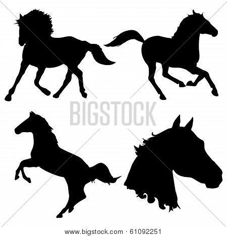 Horses Silhouettes