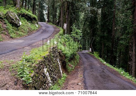 Forest Road