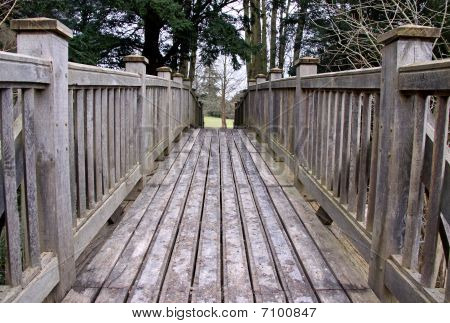 Un puente de madera en árboles del bosque