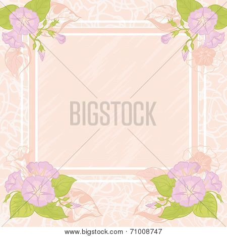 Background with flowers Ipomoea