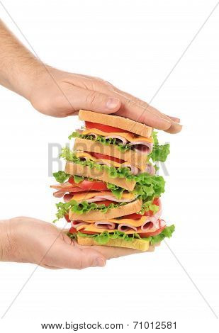 Big fresh sandwich in hands.