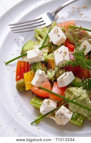 Salad with cheese and vegetables on a white plate