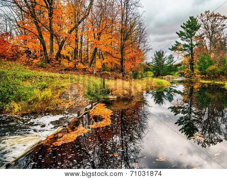 Stream In The Fall