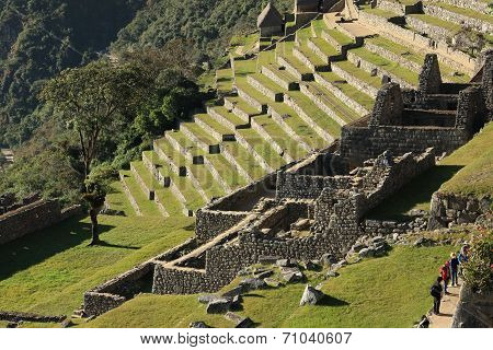 Abandoned City of Machu Picchu, Peru