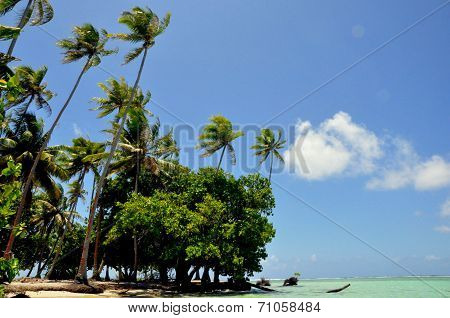 Raiatea Island