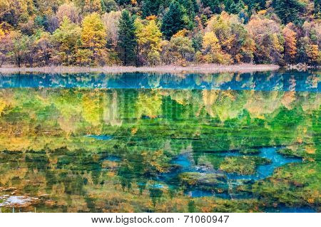 Autumn Fairy Tale Landscapes In Jiuzhaigou