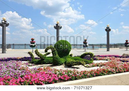 Octopus, Floral Arrangement On The Seafront Of Anapa