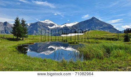 Spitzhorn And Pond
