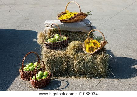 Heads of grain apples and sunflowers. Harvest on the haystack.