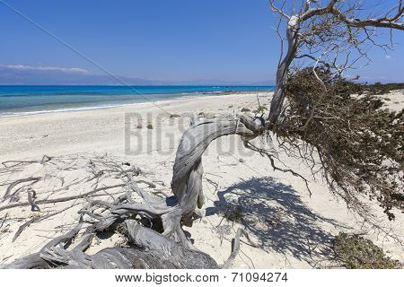 Chrysi Island Beach Near Crete. Greece