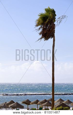 Playa La Pinta
