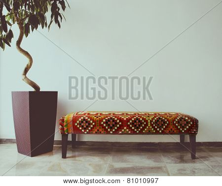 Ficus Tree In Living Room Next To A Sofa