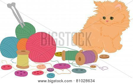 The kitten playing with balls.