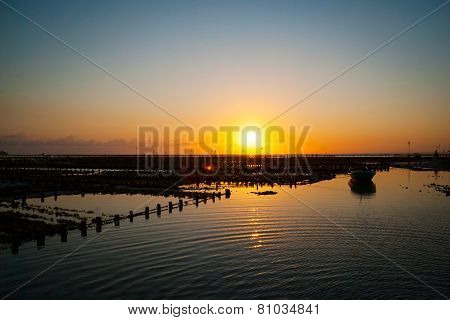 Algae Farm Field In Sunset, Indonesia