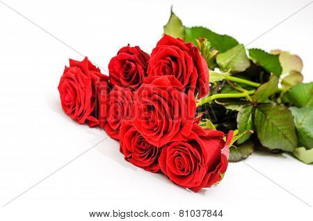 Roses