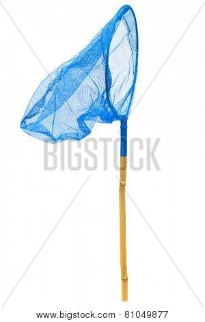 blue butterfly net on a white background