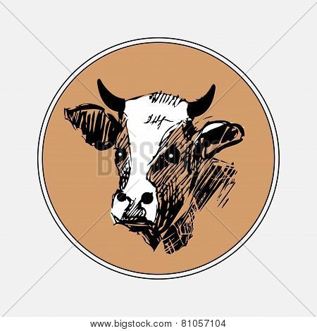Cow Hand Drawn