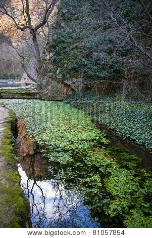 Reflections In The Lake At Monasterio De Piedra, Zaragoza, Aragon, Spain