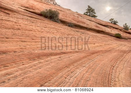 Zion National Park