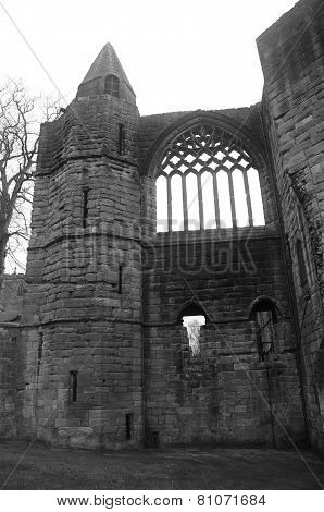 Abbey Ruins